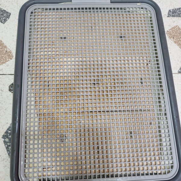 d94902d66fb6db1a43f27d39500dd1cb_1690635670_158.jpg